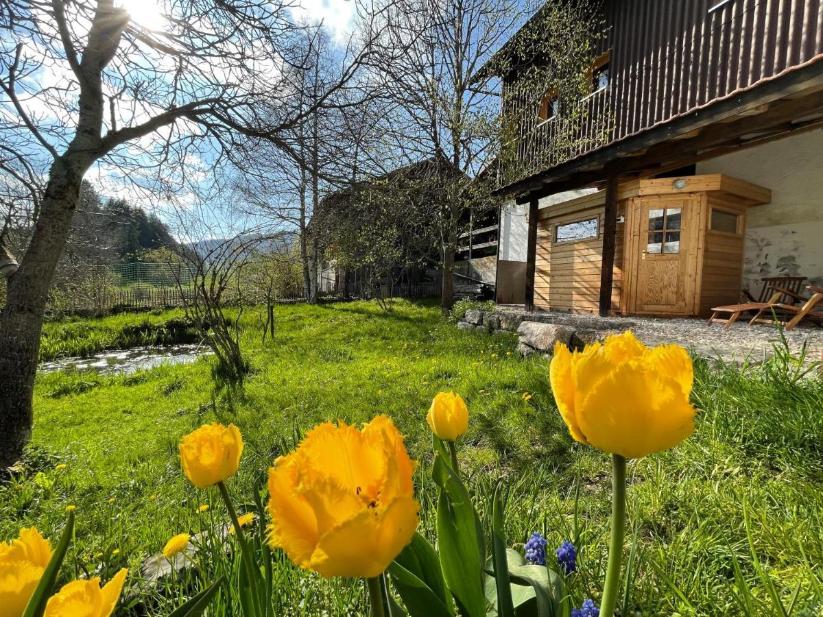 Miramont Horse Trekking Hostel Saicourt Exterior foto
