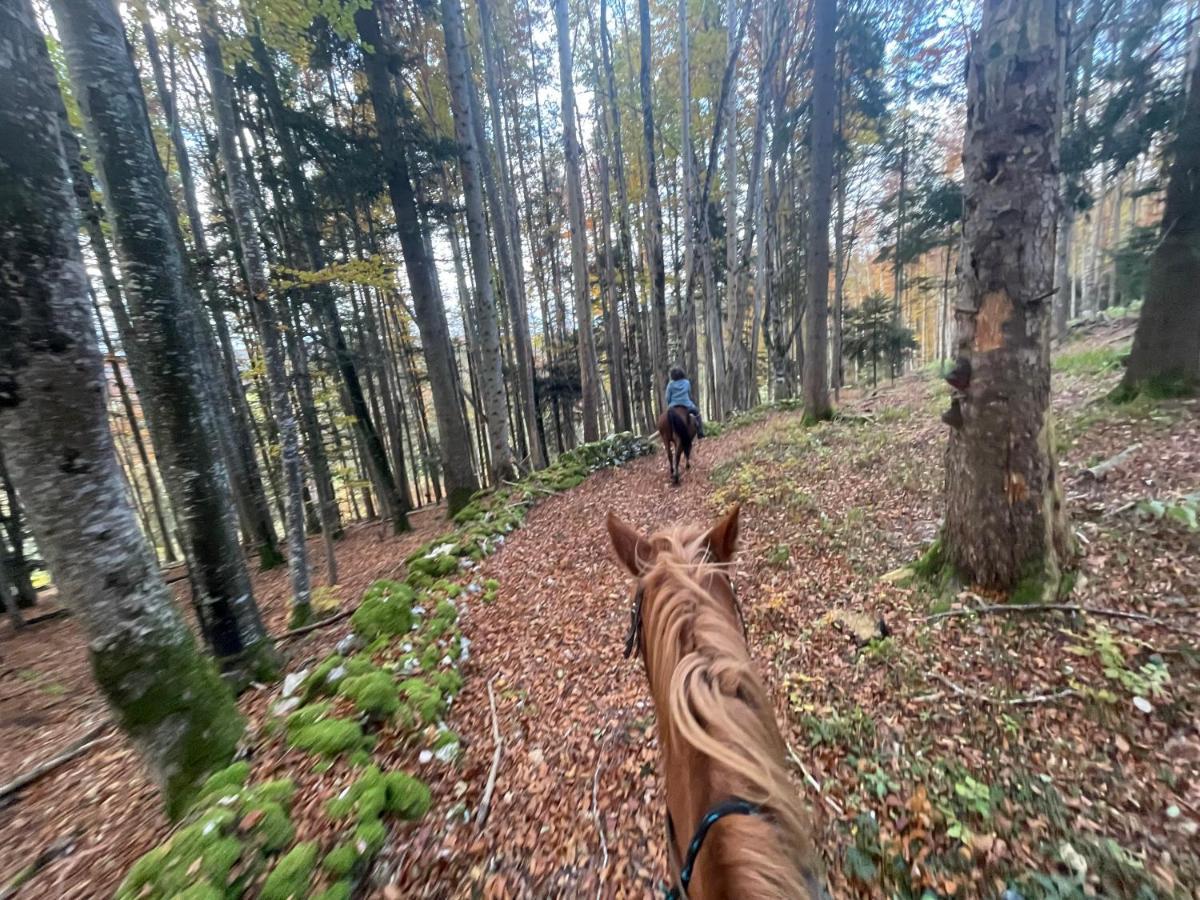 Miramont Horse Trekking Hostel Saicourt Exterior foto