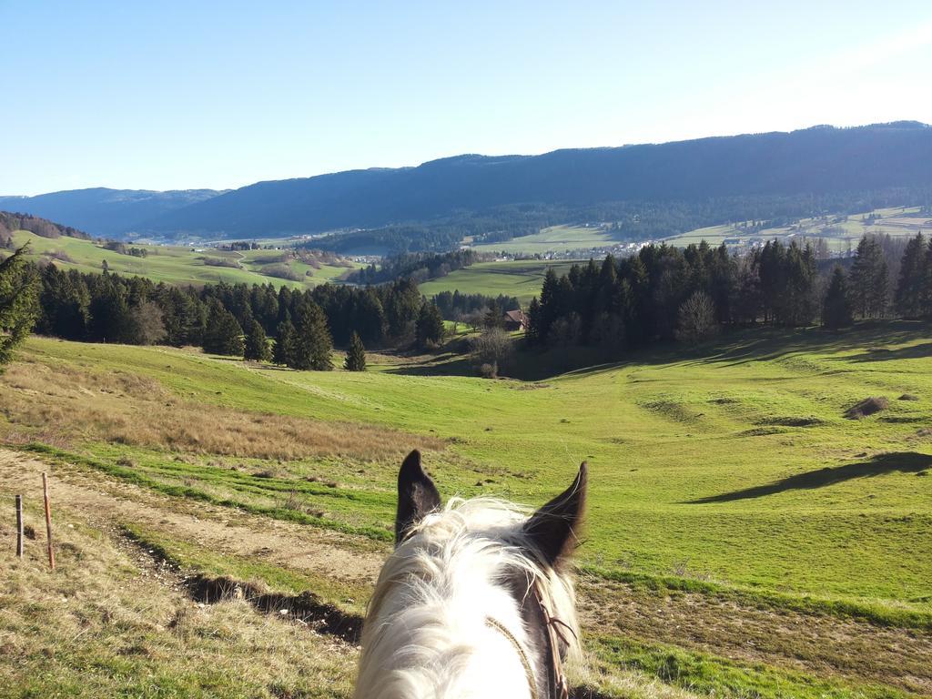 Miramont Horse Trekking Hostel Saicourt Exterior foto